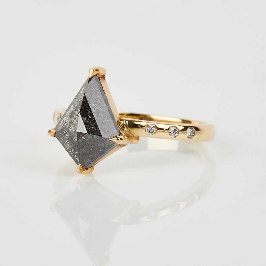 2.92ct Kite Salt and Pepper Diamond Engagement Ring, Maia Setting