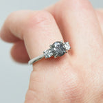 Platinum salt and pepper round brilliant cut diamond engagement trilogy ring